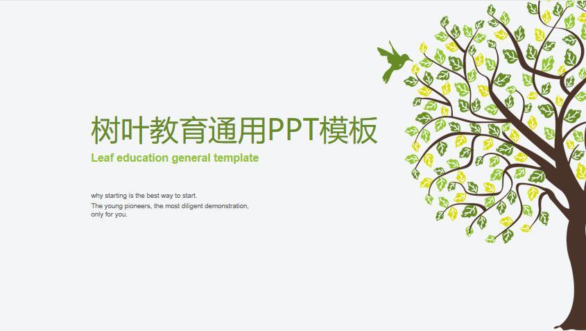 《树叶教育通用PPT模板》说课PPT