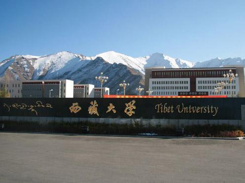 2019西藏一本大学排名及分数线（理科+文科）