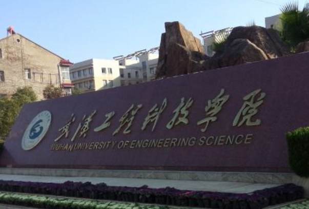 2020武汉工程科技学院在浙江招生专业选科要求对照表