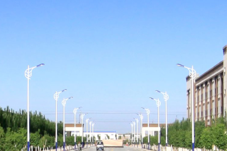 2021年新疆财经大学商务学院选科要求对照表(在辽宁招生专业)