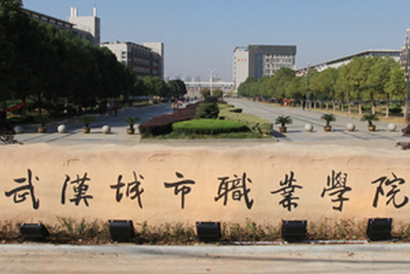 2021年武汉城市职业学院选科要求对照表(在重庆招生专业)