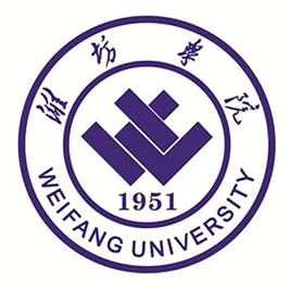 2021年潍坊学院中外合作办学分数线(含2019-2020年)