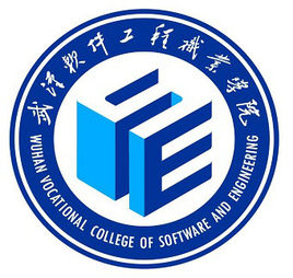 2021武汉软件工程职业学院中外合作办学专业有哪些？