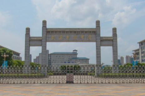 武汉东湖学院是公办还是民办大学？
