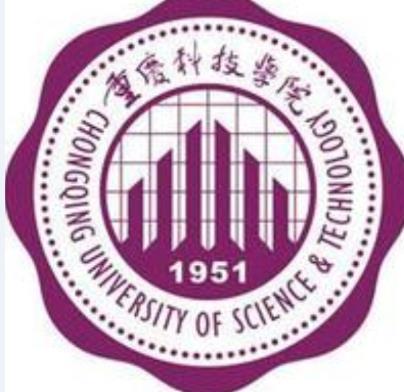 重庆科技学院王牌专业有哪些及专业排名
