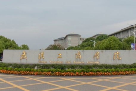 武汉工商学院是公办还是民办大学？