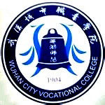 2021年武汉城市职业学院选科要求对照表(在湖南招生专业)