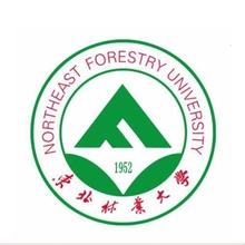 东北林业大学王牌专业有哪些及专业排名