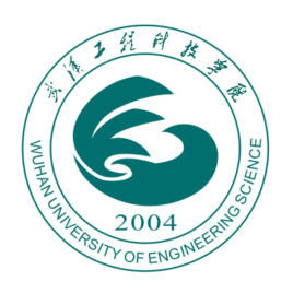 2020年武汉工程科技学院选科要求对照表(在山东招生专业)
