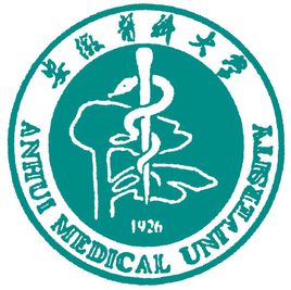2021年安徽医科大学中外合作办学分数线
