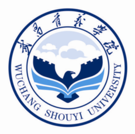 2019-2020武昌首义学院一流本科专业建设点名单3个(国家级+省级)