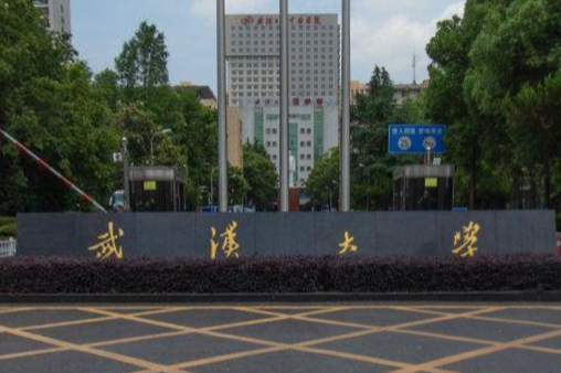 2021年武汉大学选科要求对照表(在湖北招生)
