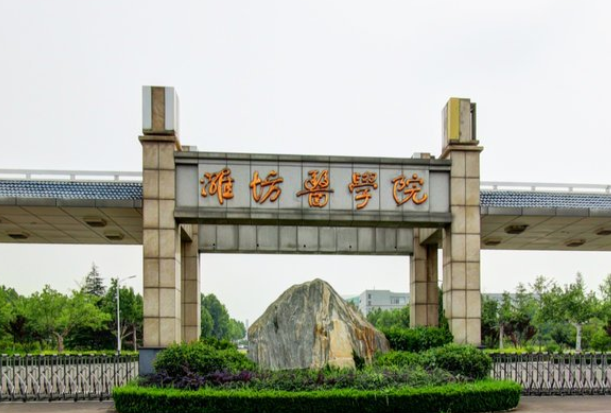 2020潍坊医学院在浙江招生专业选科要求对照表