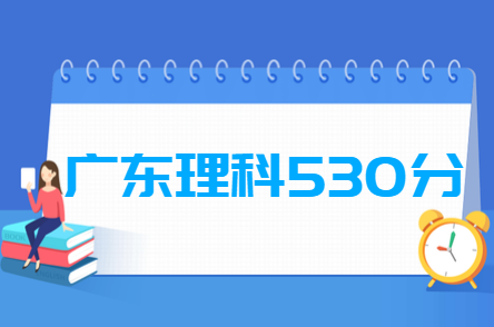 2019广东理科530分能上什么大学？