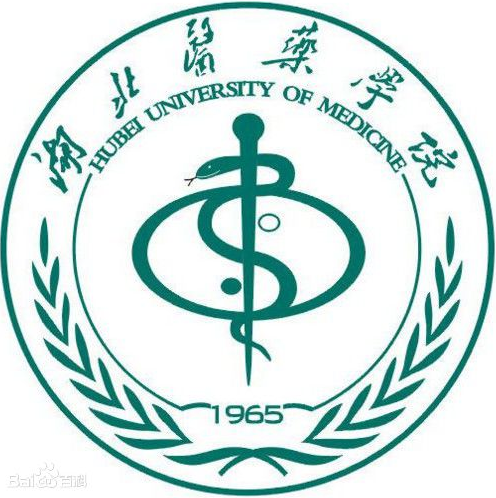 2020湖北医药学院在浙江招生专业选科要求对照表