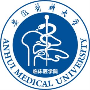 安徽医科大学临床医学院是211大学吗？