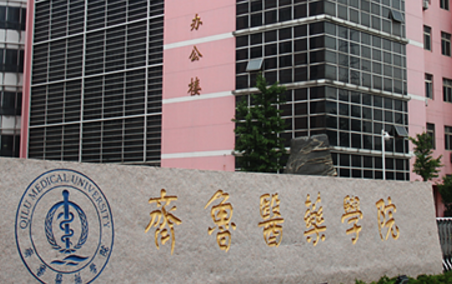 2020齐鲁医药学院在浙江招生专业选科要求对照表