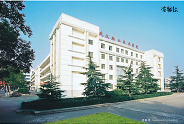 武汉职业技术学院标志