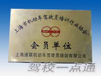 上海通联机动车培训有限公司(通联驾校)标志