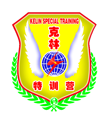 贵州克林文体培训标志