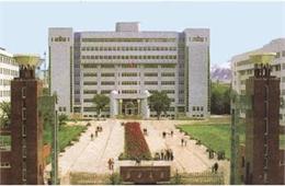 新疆大学科学技术学院标志