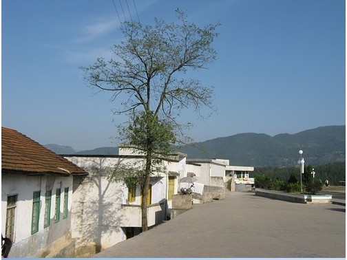 宣恩县珠山镇和平中小学照片