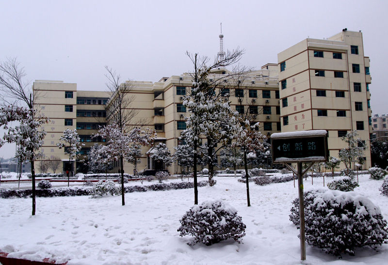 一中校园雪景