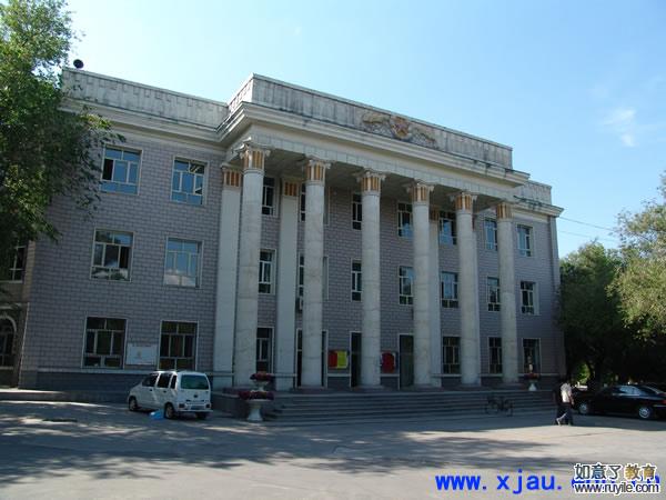 新疆农业大学3