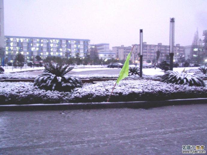 宁波工程学院雪景