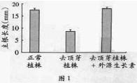 2013年广东省高考生物试卷及答案