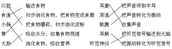 深圳市罗湖区2013-2014学年小学四年级科学上学期期末考试试卷及答案