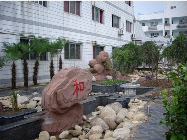 武汉市常青第一学校(常青第一学校)照片3