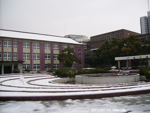 上海市杨浦高级中学照片3