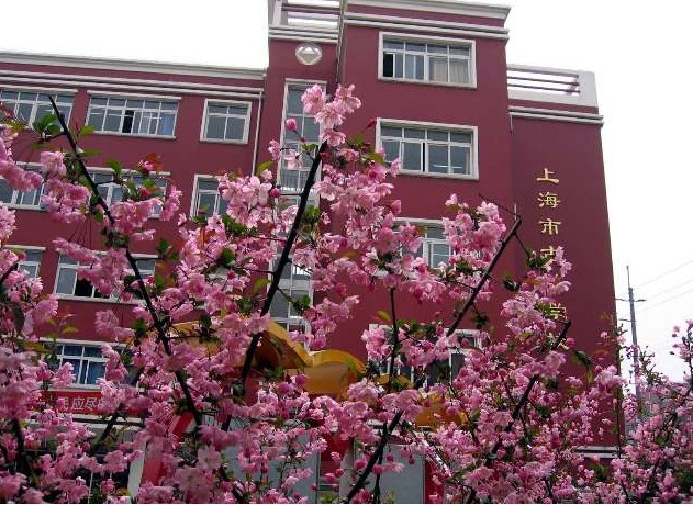 上海市闵行区古美学校照片4