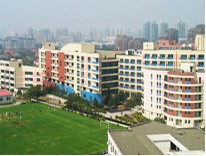 上海市平和双语学校(小学部)照片4