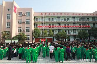 郑州市金水区中方园双语学校照片4