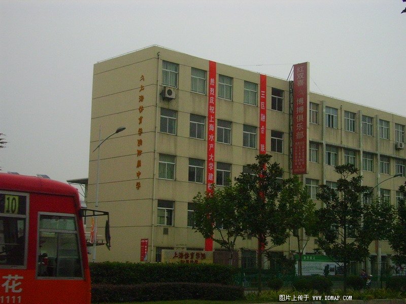 上海体育学院附属中学照片5