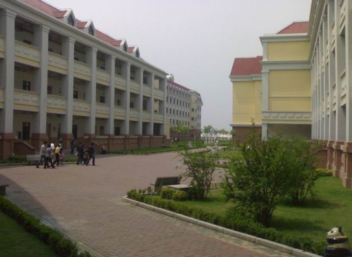 上海外国语大学实验学校照片3