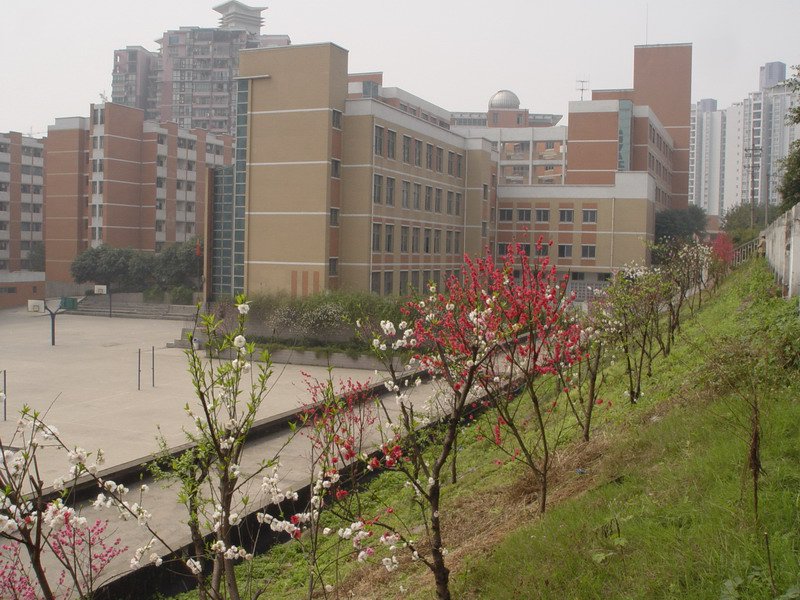 重庆市南坪中学照片5