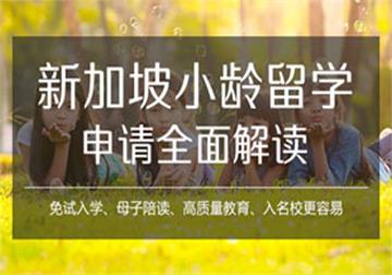 [郑州新通留学]新加坡小龄留学申请-免试入学、母子陪读