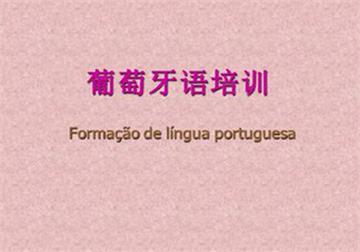 [玛雅外语] 郑州葡萄牙语商务班