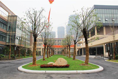 杭州市高新实验学校小学部照片