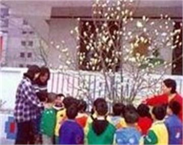 北京市西城区月坛街道办事处第三幼儿园